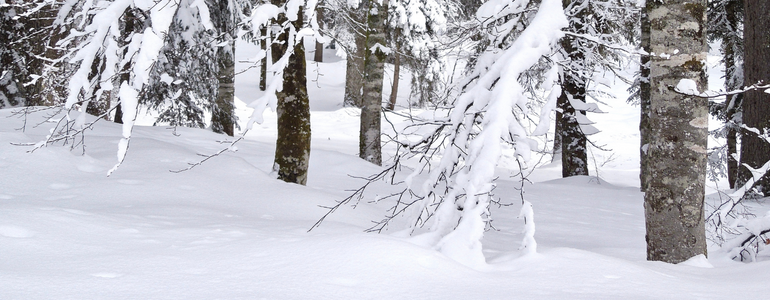 Cross Country Skiing