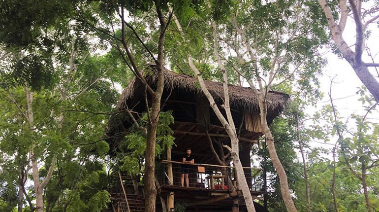 Sri Lanka Tree House