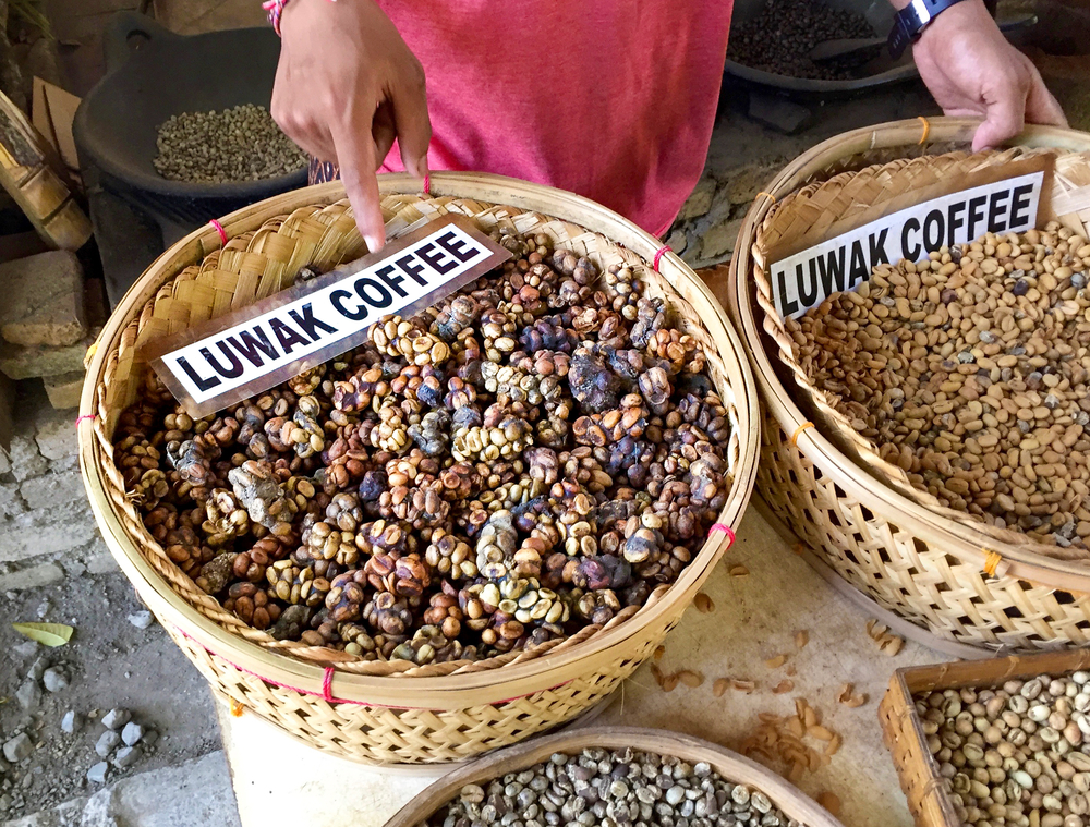 Luwak coffee