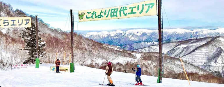 Japan Skiing