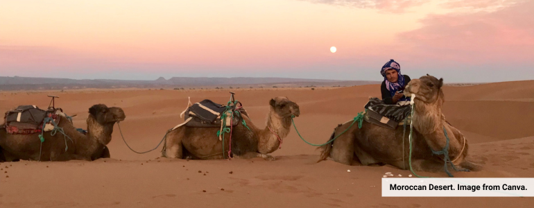 Ride a camel through the Moroccan Desert like the Travel Guides.