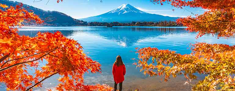 View of Mt Fuji