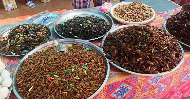 Fried bugs in Cambodia