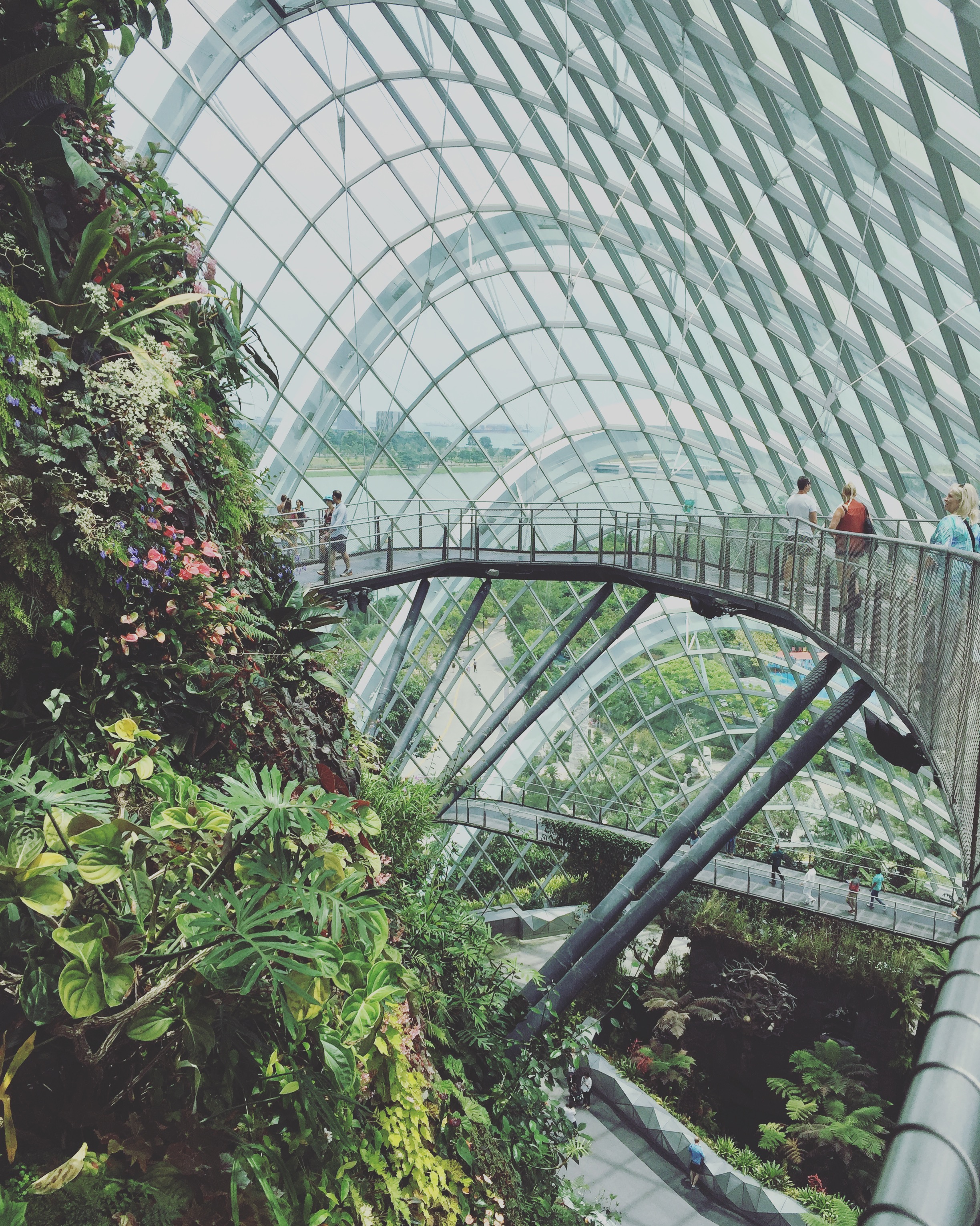 gardens by the bay