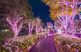 Purple lights in Tokyo at night 