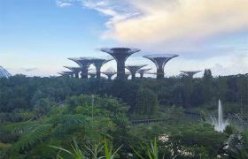 Gardens By the Bay Singapore